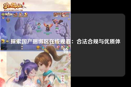 探索国产捆绑区在线观看：合法合规与优质体验